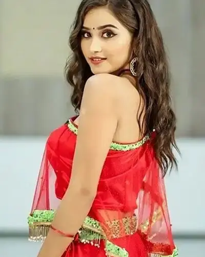 Escort In Manish Nagar